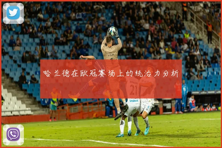 哈兰德在欧冠赛场上的统治力分析