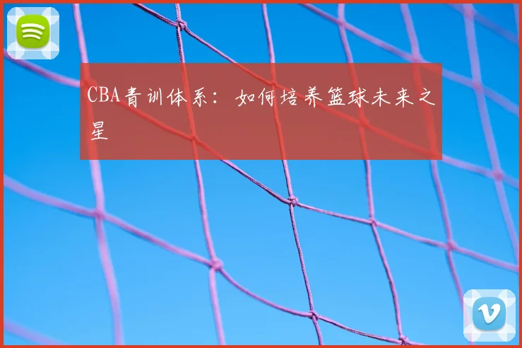 CBA青训体系：如何培养篮球未来之星